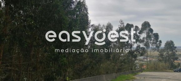 15812m² Land in Coimbra, Portugal No. 91333 5