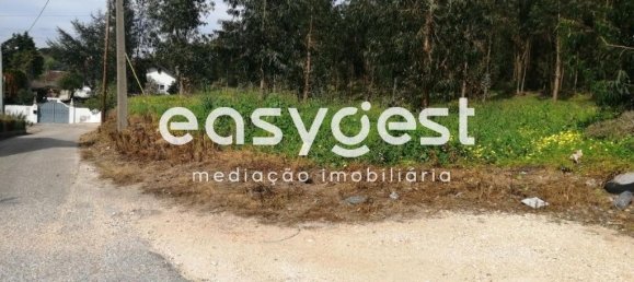 15812m² Land in Coimbra, Portugal No. 91333 3