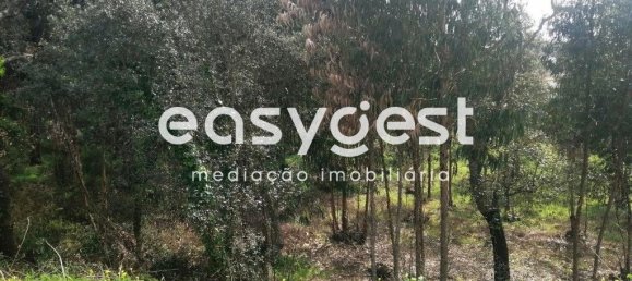 15812m² Land in Coimbra, Portugal No. 91333 15