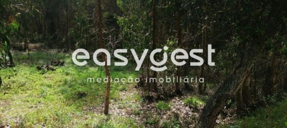 15812m² Land in Coimbra, Portugal No. 91333 12