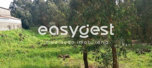 15812m² Land in Coimbra, Portugal No. 91333 13