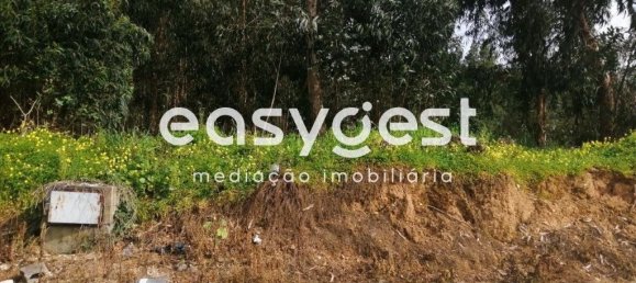 15812m² Land in Coimbra, Portugal No. 91333 10