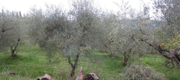 Grundstück in Serravalle Pistoiese, Italy 13669m², Nr. 379485 6