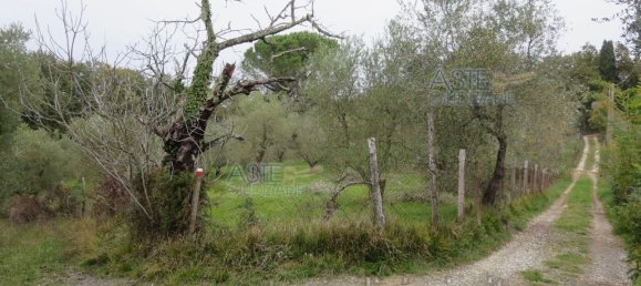 Grundstück in Serravalle Pistoiese, Italy 13669m², Nr. 379485 2
