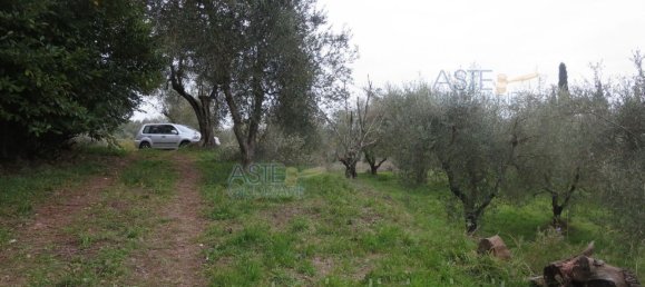 Grundstück in Serravalle Pistoiese, Italy 13669m², Nr. 379485 4