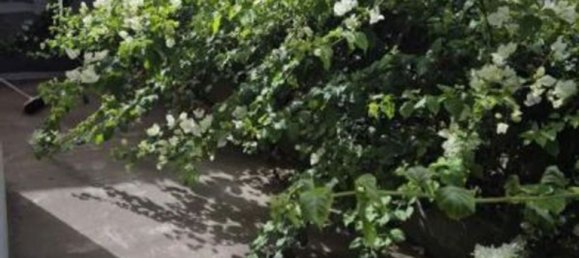 Дом с 7 комнатами в Сант Анджело ди Броло, Италия № 43126 4