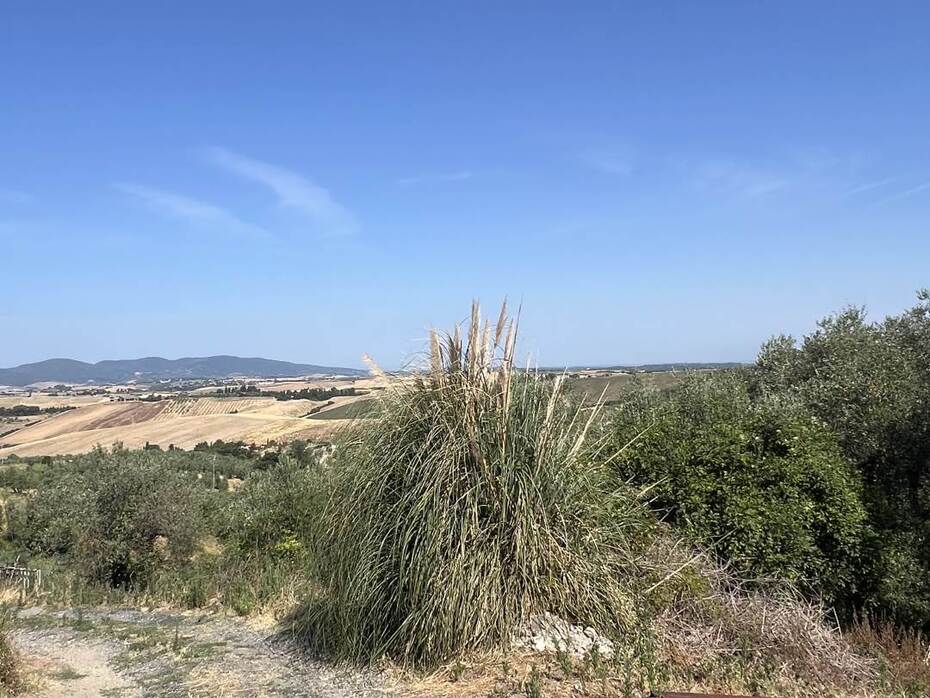 1 room Warehouse in Santa Luce, Italy No. 276531