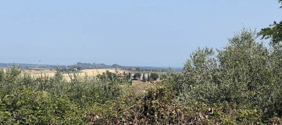 1 room Warehouse in Santa Luce, Italy No. 276531 6