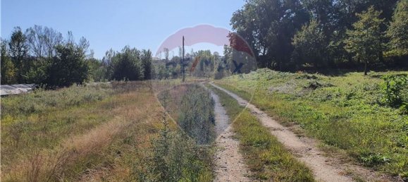 4896m² Land in Vila Verde, Portugal No. 33910 2