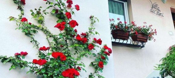 8 rooms House in Gravedona ed Uniti, Italy No. 59006 37