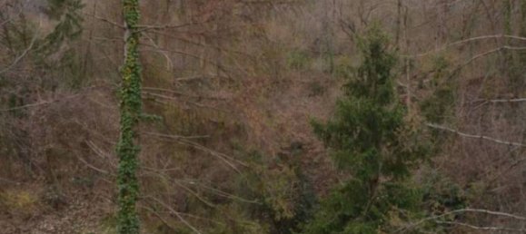 2 bedrooms Apartment in Casazza, Italy No. 73576 9