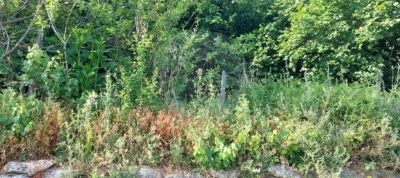  Land in Oliveira do Hospital, Portugal No. 195923 6