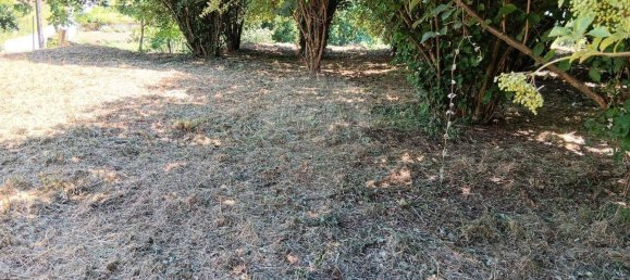  Land in Oliveira do Hospital, Portugal No. 195923 9