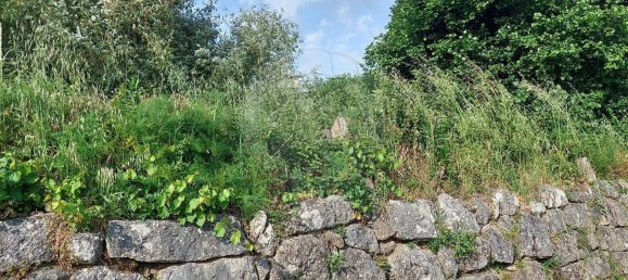  Land in Oliveira do Hospital, Portugal No. 195923 5