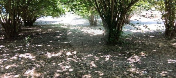  Land in Oliveira do Hospital, Portugal No. 195923 7