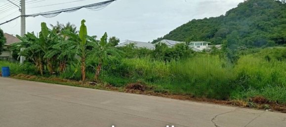  Commercial property in Hua Hin, Thailand No. 24244 2