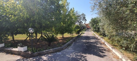 3 chambres Appartement à Camigliano, Italy No. 347310 3