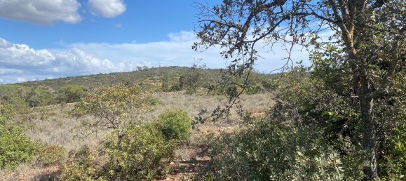 Terreno en Paderne, Portugal No. 60548 20