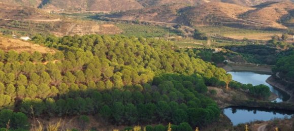 5 غرف نوم قلاع في Silves, Portugal رقم 96321 18