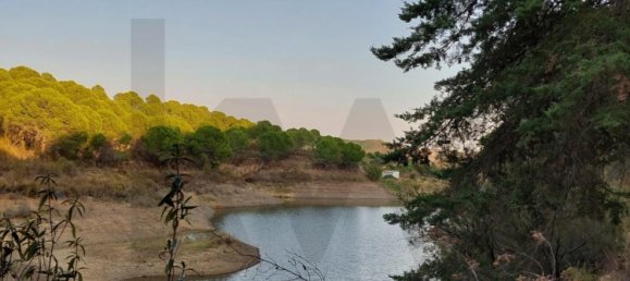 5 غرف نوم قلاع في Silves, Portugal رقم 96321 21