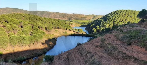 5 غرف نوم قلاع في Silves, Portugal رقم 96321 5