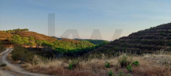 5 غرف نوم قلاع في Silves, Portugal رقم 96321 16