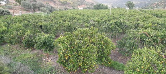 5 غرف نوم قلاع في Silves, Portugal رقم 96321 6