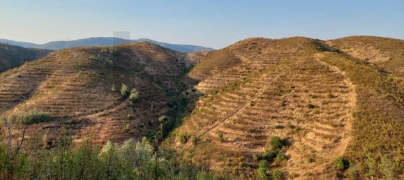 5 غرف نوم قلاع في Silves, Portugal رقم 96321 15