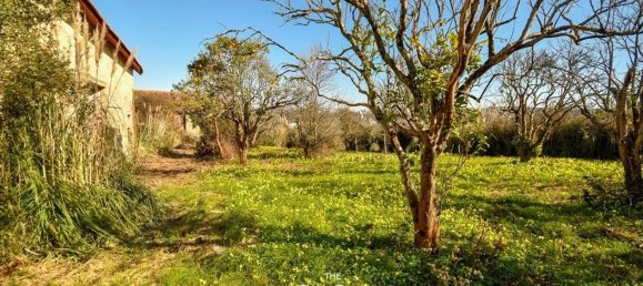 8 bedrooms House in Vila Nova de Gaia, Portugal No. 51013 28