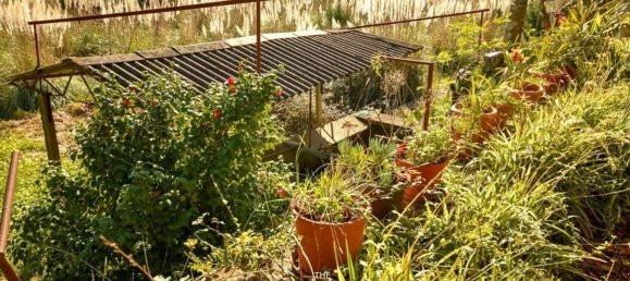 8 bedrooms House in Vila Nova de Gaia, Portugal No. 51013 26