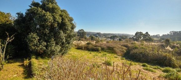 8 bedrooms House in Vila Nova de Gaia, Portugal No. 51013 33