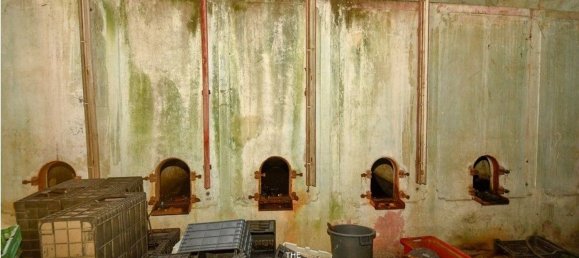 8 bedrooms House in Vila Nova de Gaia, Portugal No. 51013 9