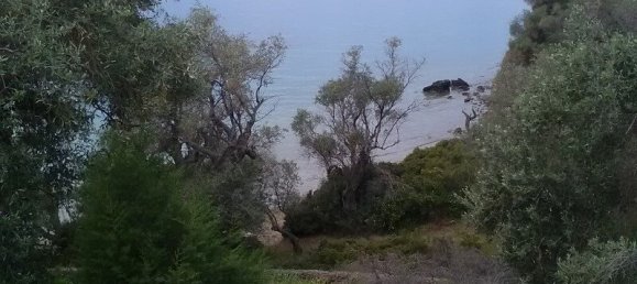 2 Schlafzimmer Villa in Trikeri, Greece, Nr. 2446 6