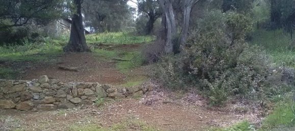 Villa de 2 dormitorios en Trikeri, Greece No. 2446 12