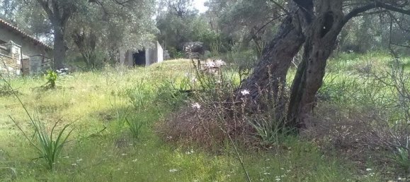 2 Schlafzimmer Villa in Trikeri, Greece, Nr. 2446 14