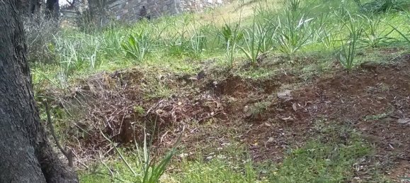 Villa de 2 dormitorios en Trikeri, Greece No. 2446 13