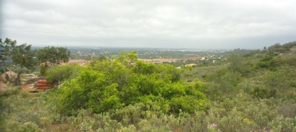 14920m² Land in Faro, Portugal No. 62619 19