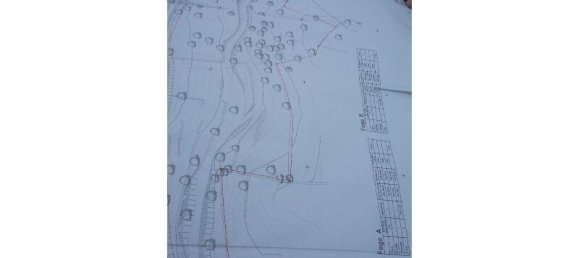 14920m² Land in Faro, Portugal No. 62619 11