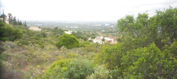 14920m² Land in Faro, Portugal No. 62619 15