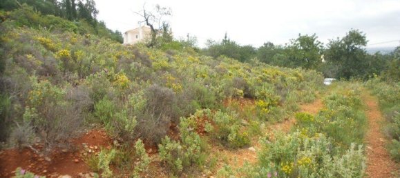 14920m² Land in Faro, Portugal No. 62619 18