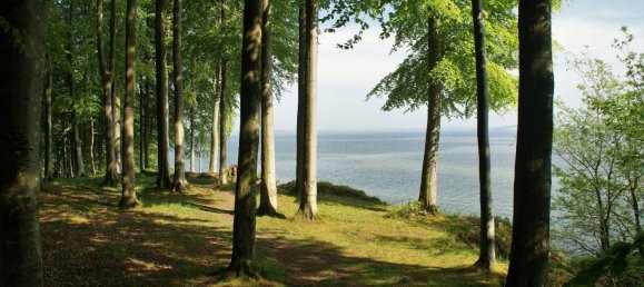 Casa de 3 dormitorios en Schleswig-Flensburg, Germany No. 245832 5