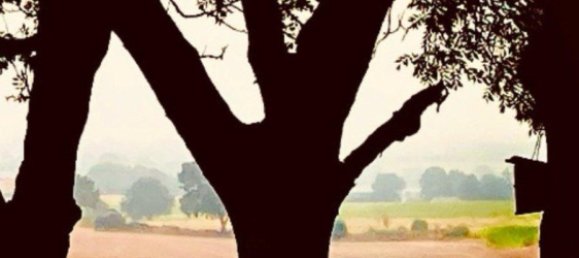 Casa de 3 dormitorios en Schleswig-Flensburg, Germany No. 245832 7