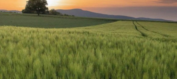 Casa de 3 dormitorios en Schleswig-Flensburg, Germany No. 245832 8