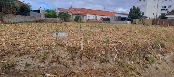 قطعة أرض في Almada, Portugal 1583متر مربع رقم 52153 13