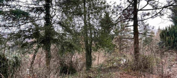  Land in St. Andra-Wordern, Austria No. 67891 9