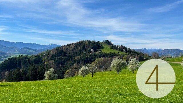  Land in Waidhofen an der Ybbs, Austria No. 46563