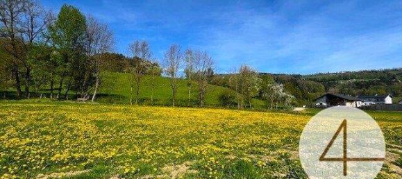  Land in Waidhofen an der Ybbs, Austria No. 46563 4