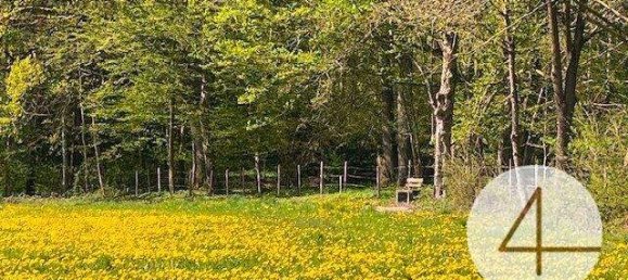  Land in Waidhofen an der Ybbs, Austria No. 46563 2