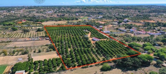 Grundstück in Quarteira, Portugal 42350m², Nr. 200734 12