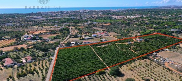 Grundstück in Quarteira, Portugal 42350m², Nr. 200734 14